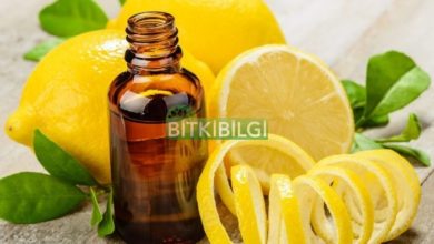 Photo of Limon Kabuğu Yağı Kullanım Şekli Yararları